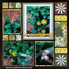 Mosaic Moments Page Kit Daisy'd with photos
