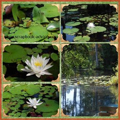 Digital Scrapbook Layout of Cypress Gardens near Charleston SC 