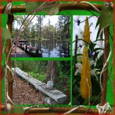 Digital Scrapbook Layout of Cypress Gardens near Charleston SC 