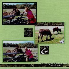 Magnolia Plantation Horses