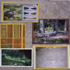 Zoo Africa Scrapbook Layout of Alligators