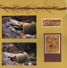 Zoo Africa Scrapbook Layout of Alligators