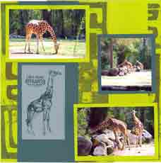 Zoo Africa Scrapbook Layout of Giraffe